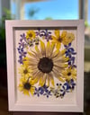 Genuine Sunflower, Delphinium And Pansy Wildflowers In 8" X 10" Shadow Box (Item# 202201LS)