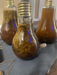 Image 4 of StRange FloRida WateR