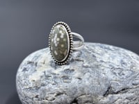 Image 1 of Ocean Jasper Statement Ring (size 8) v1