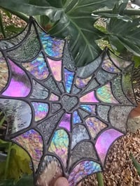 Image 3 of Spiderweb 🤍