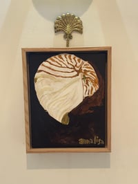 Image 3 of Island Shell Original