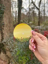 rose bush magnet