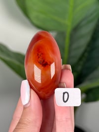 Image 15 of CARNELIAN SHIVAS