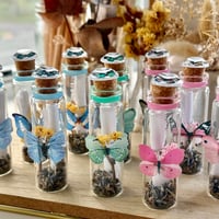 Image 4 of Butterfly (Simple) - Message in a Bottle