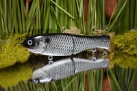 Finesse Shat - Frosted Shad ❄️(New Color)