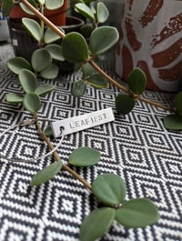Image 3 of Leafy Keyring