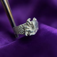 Image 2 of Salty Crab Ring