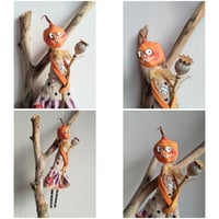 Image 4 of Pumpkin Poppy