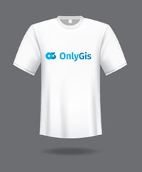 Only Gis t-shirt 