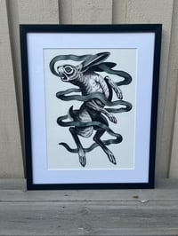 Image 2 of Rabbit 