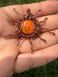 Image 2 of Sponge coral sun 