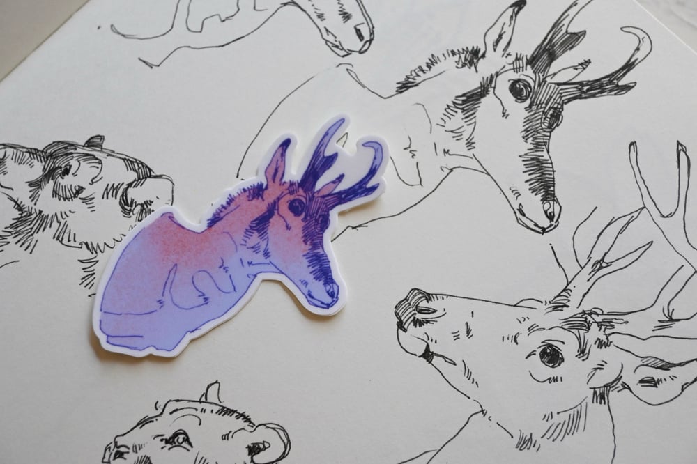 Pronghorn Antelope Sticker