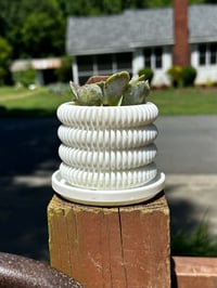 Image 2 of Succulent Pot