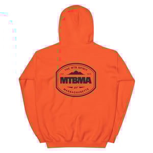 Image of Established Safety Hoodie