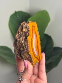 Image 2 of CONDOR AGATE -ARGENTINA- F