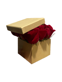 The ‘Mini Box’ Arrangement 