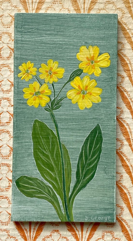 Image of Oxlip