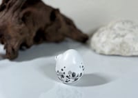 Image 4 of Shellbert