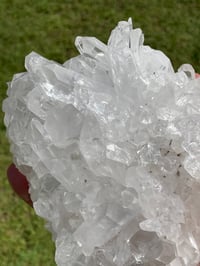 Image 16 of Clear Quartz Points Cluster #1787