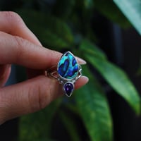 Image 2 of The Siren