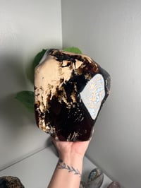 Image 1 of XL SELF STANDING SUMATRAN BLUE AMBER FREEFORM -INDONESIA- **UV REACTIVE** A