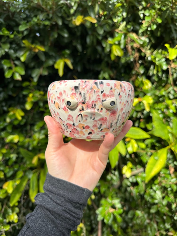 Image of Angry monster planter