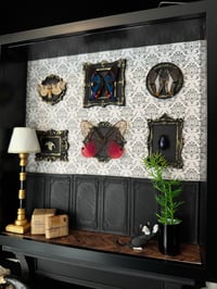 Image 3 of Multi specimen gallery wall