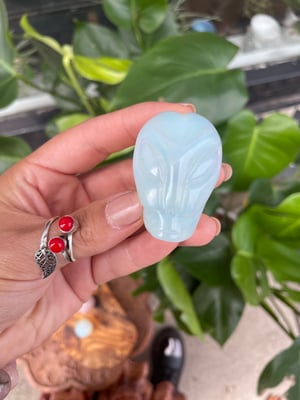 Image of Free standing Alien