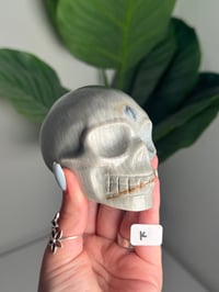 Image 11 of CHOOSE YOUR OWN SEA JASPER SKULL -MADAGASCAR-