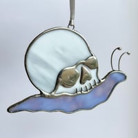 Image 4 of Skull Snails