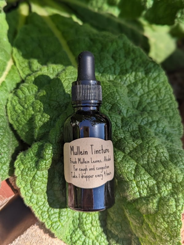 Image of Mullein Tincture