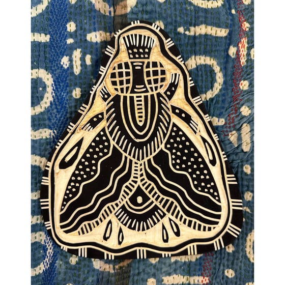 Image of The Fly