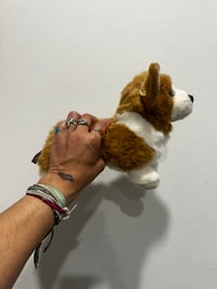 Image 5 of Douglas Dog set