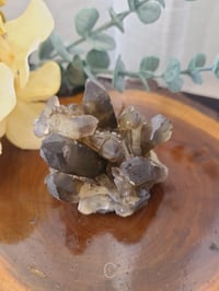 Image 5 of Black Smoky Quartz Small Crystal Cluster 4 Styles
