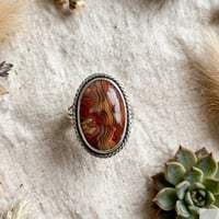 Image 4 of Crazy Lace Agate Rings