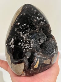 Image 1 of Septarian Nodule Polished Freeform With Calcite Inclusions| Madagascar #2899