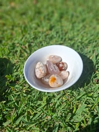 Image 1 of Flower Agate Tumbles