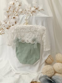 Image 1 of Newborn Bodysuit Photo Prop – Sienna (Sage & Off White)