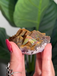 Image 2 of NATURAL RAINBOW IRIDESCENT CUBIC FLUORITE -CHINA- L