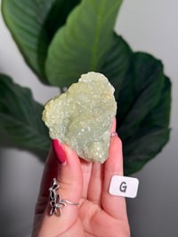 Image 7 of CHOOSE YOUR OWN SMALL PREHNITE CLUSTER -INDIA-