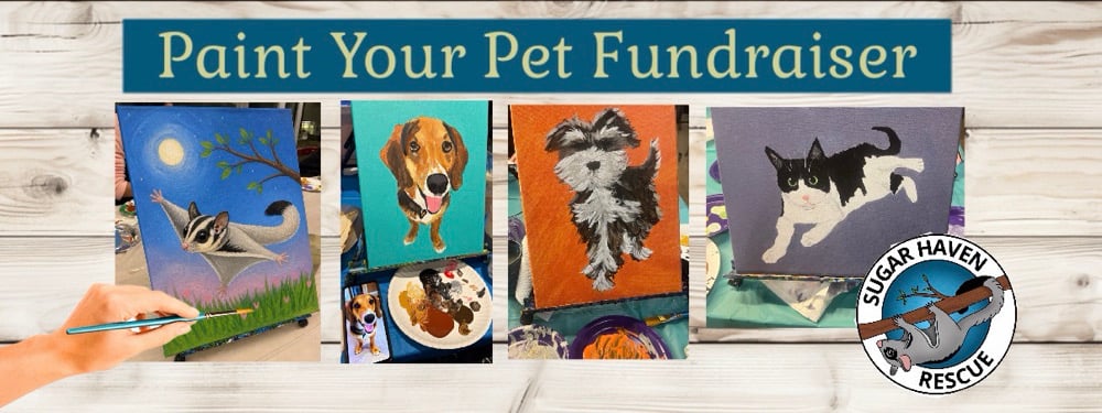 Image of Sugar Haven Rescue Paint Your Pet Fundraiser 6/18 Wicked Axe Haverhill, MA 18+