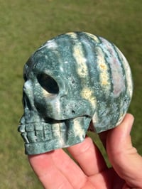 Image 6 of Ocean Jasper Skull #2177