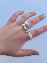 Image 1 of hydra rings
