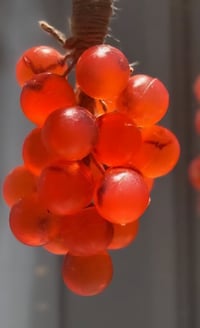 Image 1 of Grape Vine Soap