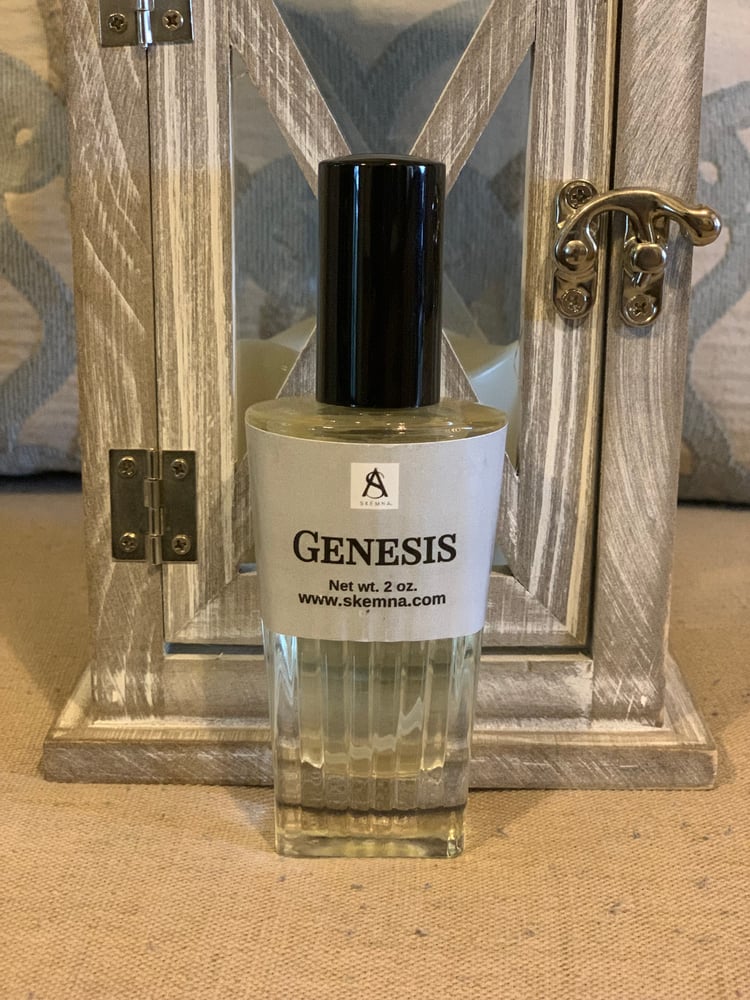 Image of SKEMNA® Men's Cologne 2oz.