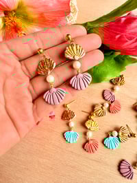 Image 5 of Seashells by the Seashore