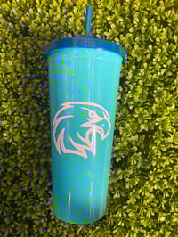 Hard Plastic Tumblers 