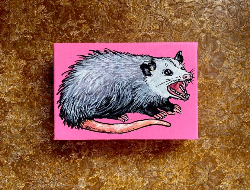 Cute Baby Possum Sticker, Australian Native Animal Series Stock  Illustration - Illustration of cartoon, australian: 268590006