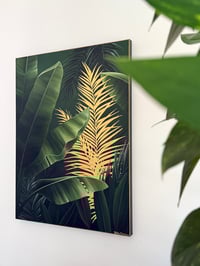 Image 2 of Prosperity