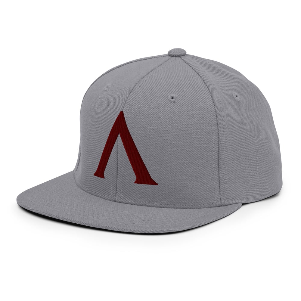 Spartan Shield Design Snapback Hat